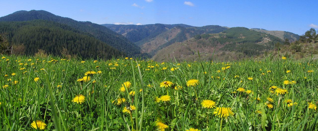 Yagodina Family Hotel Bagian luar foto