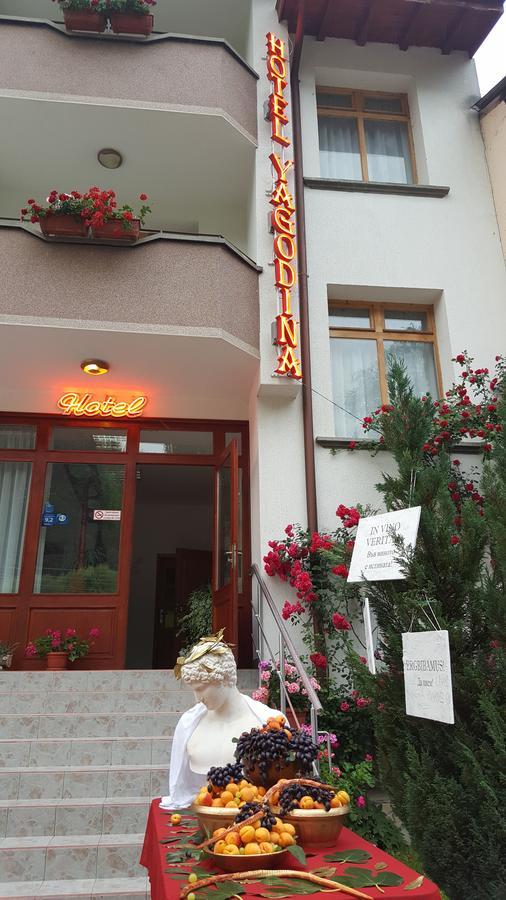 Yagodina Family Hotel Bagian luar foto